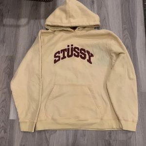 Stussy Chenile Hoodie